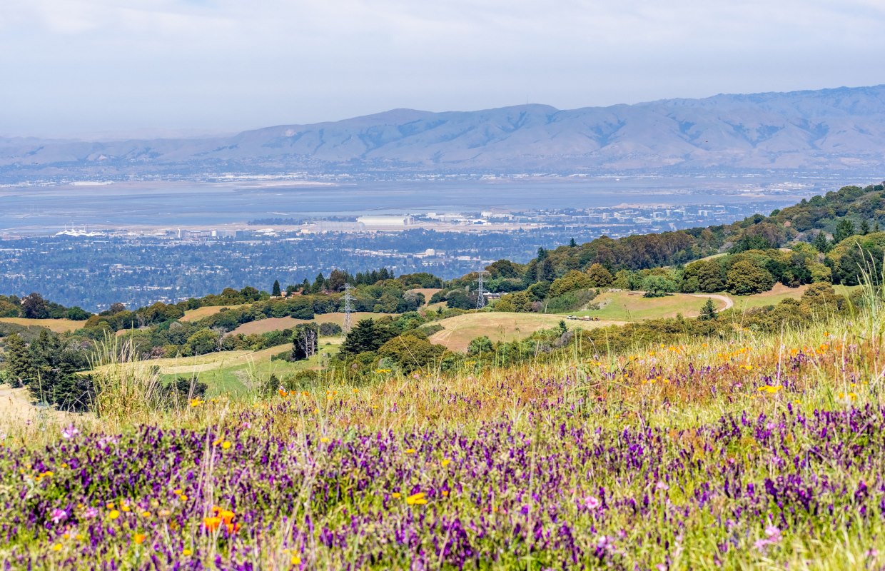 Discover All Places Nearby Mountain View, California